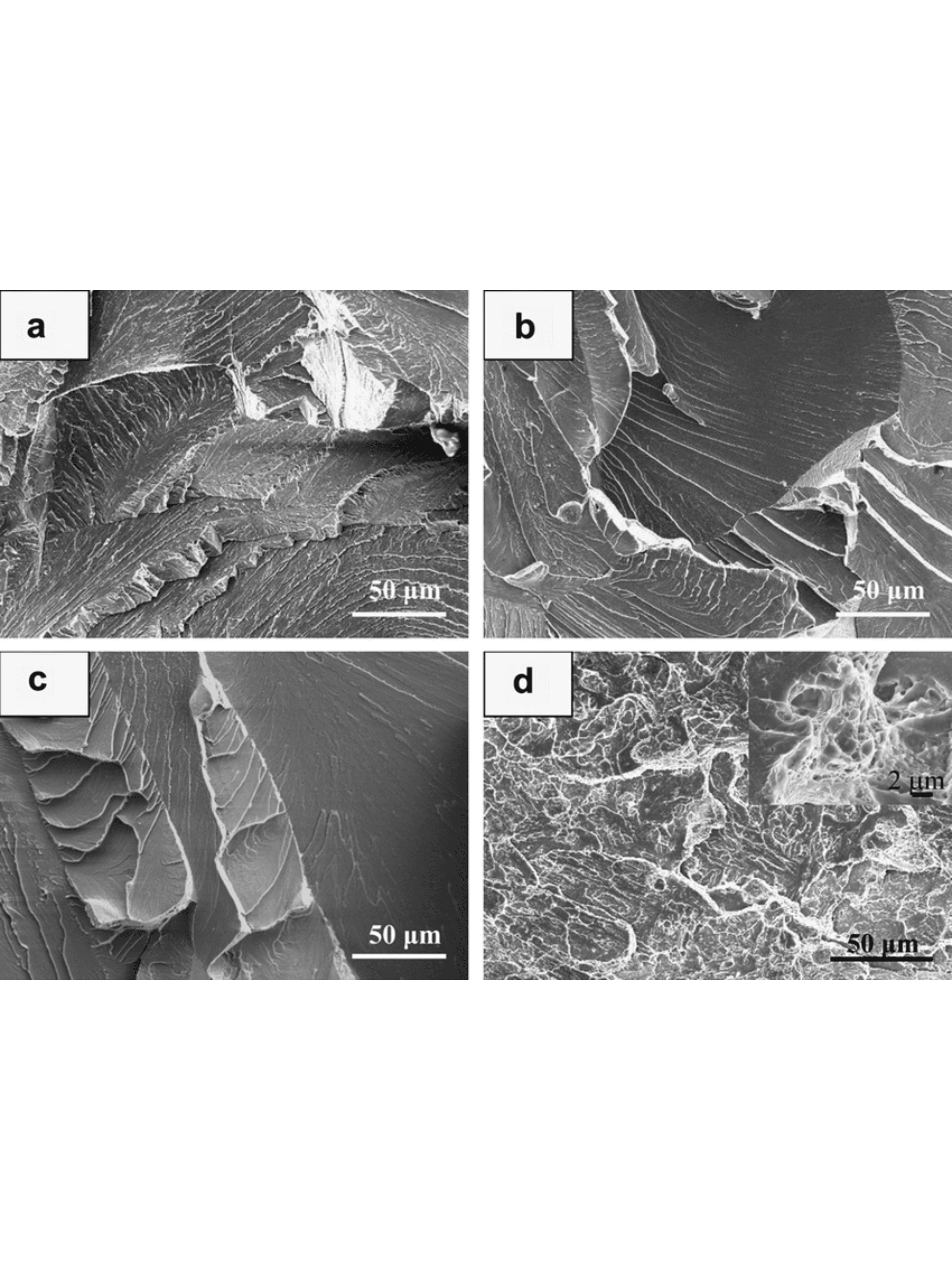SEM image of brittle fracture in steel showing a fatigue precrack, first cleavage facet and microscopic fracture surface at 10 µm scale