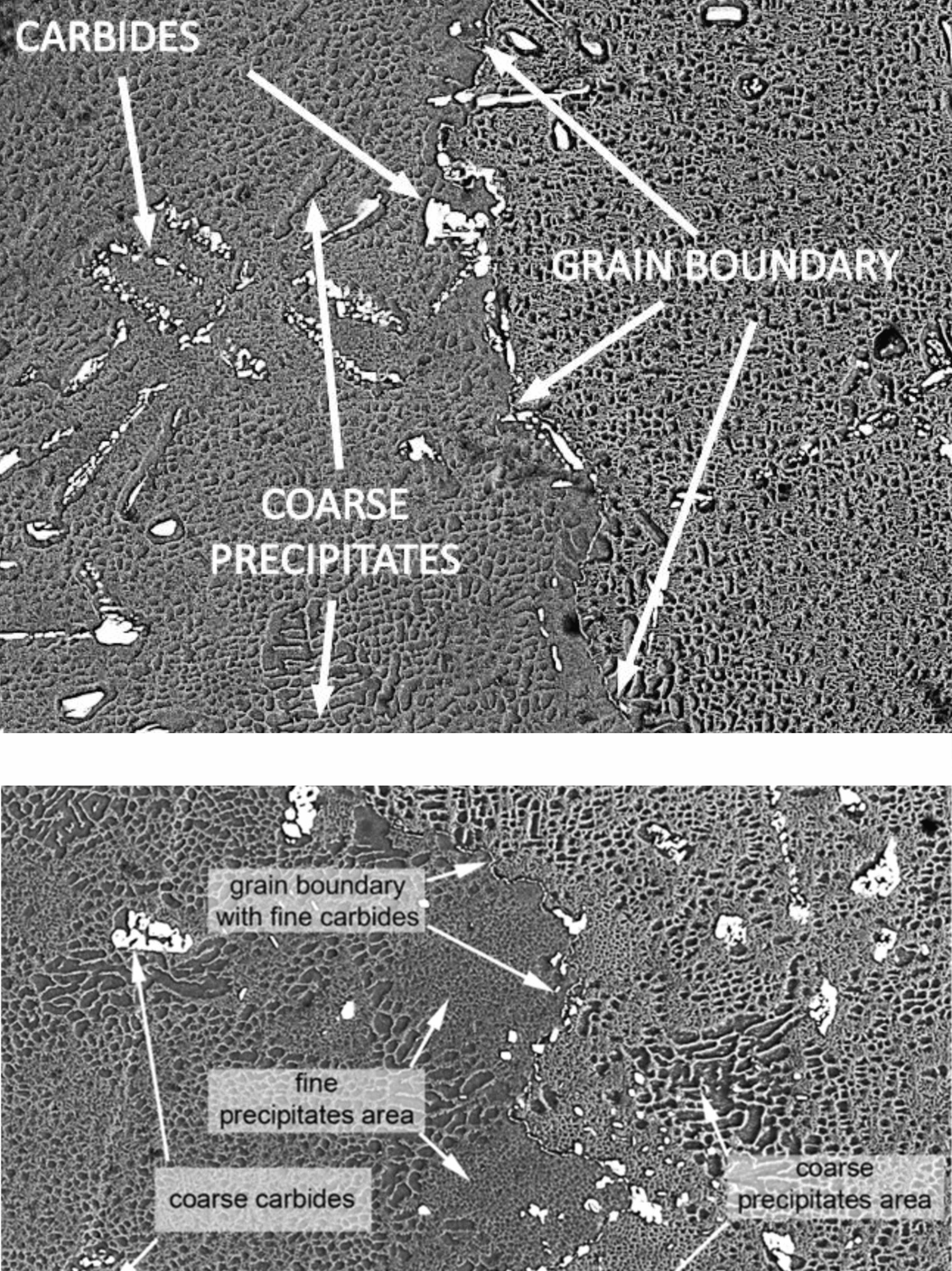 SEM micrograph showing creep cavitation at a grain-boundary triple junction, highlighting void formation and grain boundary damage.
